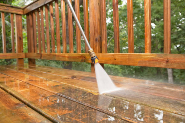 Best Animal Enclosure Cleaning  in Covington, GA